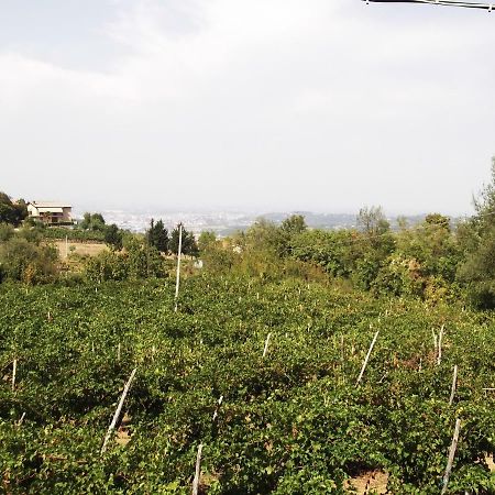 La Panoramica Villa Perarolo Eksteriør bilde